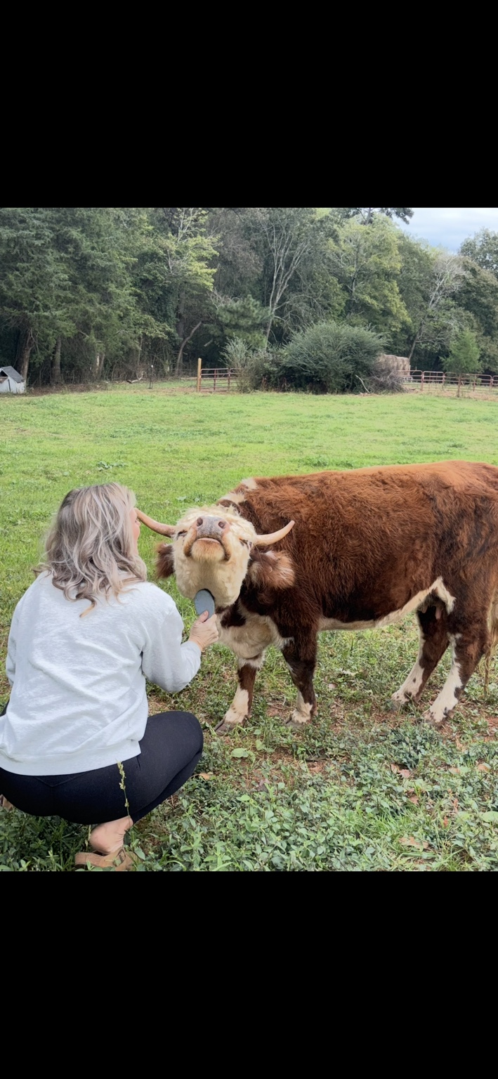Family & Farm Memory 2